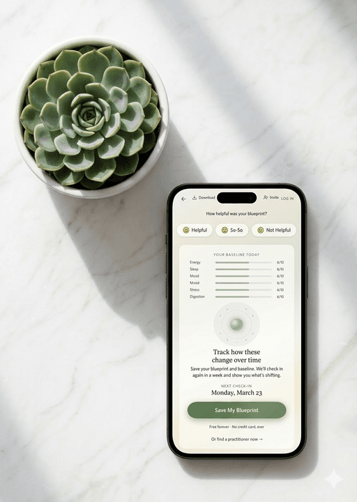Holistic Health wellness baseline scores on phone