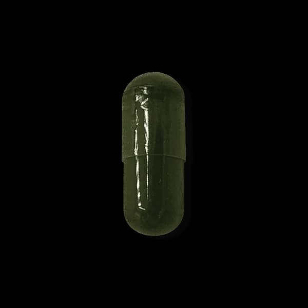 Chlorella
