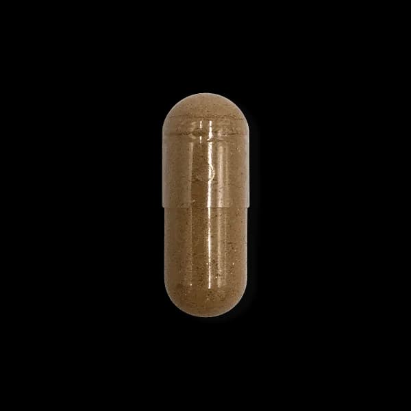 Fenugreek