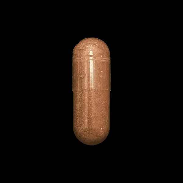 Green Tea Extract 500 mg