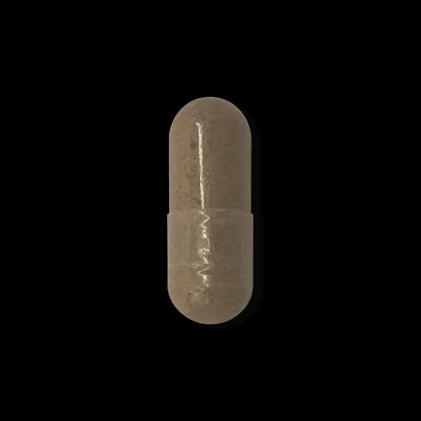 Milk Thistle