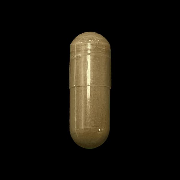 Resveratrol